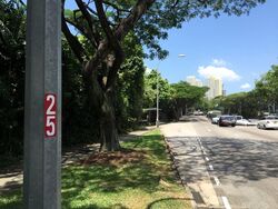 Clementi Park (D21), Condominium #591303771